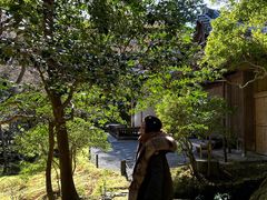 -西芳寺(苔寺)