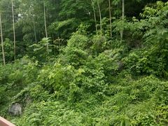 -陶祖圣境风景区