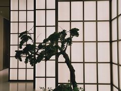 -湘上湘(正大中心总店)