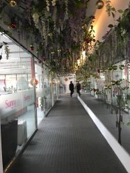-Sunny喜铺婚礼策划(东部店)