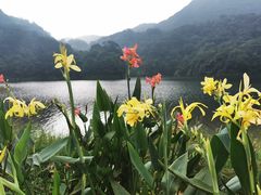 -广州市石门国家森林公园