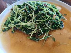 豆豉炒水香菜-曹苏黄牛汤锅(傣苑店)