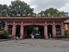 -湖北中医药大学(昙华林校区)