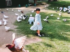 -南通洲际绿博园