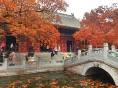 -香山公园