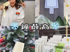 -钟薛高(南头古城店)