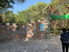 -洪湖悦兮半岛国际温泉度假村