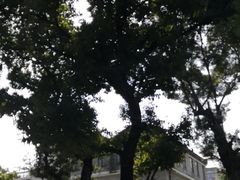 -荔湾博物馆