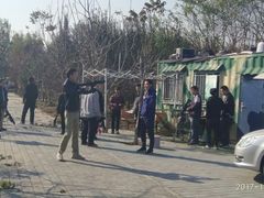 -1982农场
