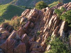 -红山国家森林公园