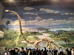 -自贡恐龙博物馆