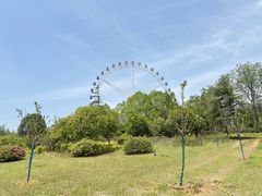 -宜兴龙背山森林公园