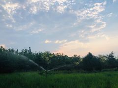 -东郊湿地公园