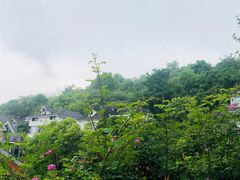 -杭州西湖风景名胜区-满觉陇四眼井
