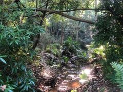-滴水岩森林公园