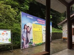 -武隆天坑地缝国家地质公园