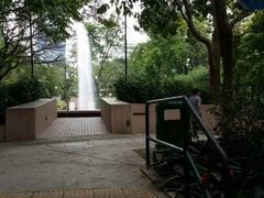 -九龙公园