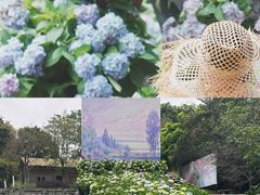 -天适樱花悠乐园