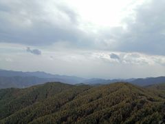 -苏木山森林公园