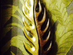 iphone_upload_pic-Siam泰餐厅(水上公园店)