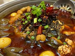 -眉州东坡(亚运村店)