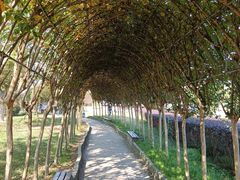 -武汉紫薇都市田园