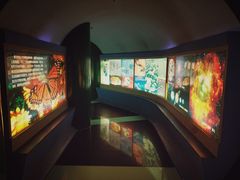 -上海昆虫博物馆