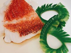 金蒜翡翠星斑球-8餐厅(新葡京酒店)