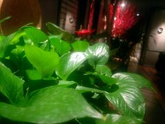 -荣小馆(温州智慧谷店)