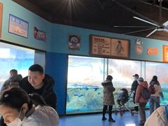 -海合安武汉极地海洋公园