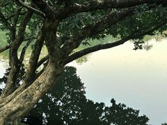 -荔枝公园(福田区)