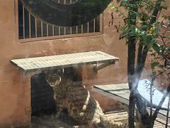 -青藏高原野生动物园