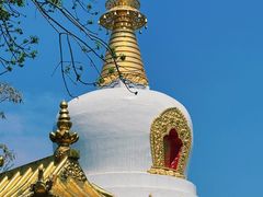 -护国法轮寺