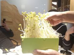 -红状元·空中花园火锅(金龙大道店)