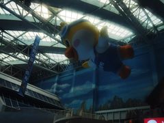 -青岛东方影都融创水世界