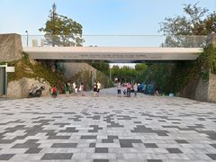 -上海山野camping·户外天幕烧烤·团建拓展营地