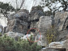 -莲花池公园