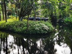 -桂湖森林公园