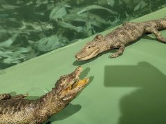 -浙江自然博物院(杭州馆)