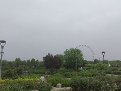 -石家庄市植物园