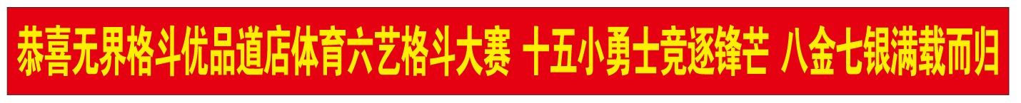 -燃无界格斗·拳击搏击体能馆(优品道店)