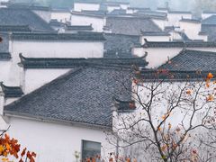 -塔川景区