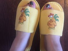 -上海外滩英迪格酒店