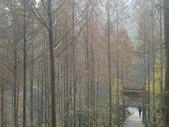 -凤栖山