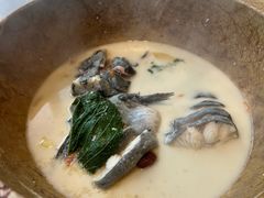 -滇小鱼·云南野生菌火锅(上杭路店)