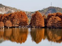 -四明山国家森林公园
