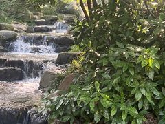 -中国茶叶博物馆(双峰馆区)