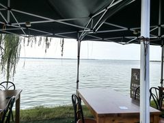 -蟹天蟹地农家菜·阳澄湖大闸蟹(浅水湾店)