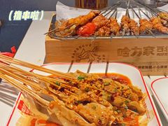 -哈力家·西北烧烤烤串(凤城三路店)
