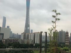 -小茶闲舍·观景商务茶馆(广州塔店)